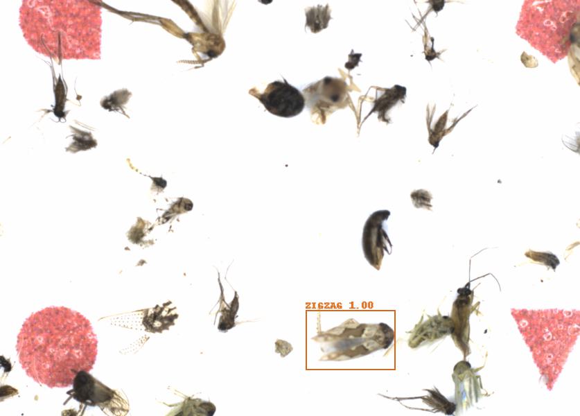 Fullscreen Image