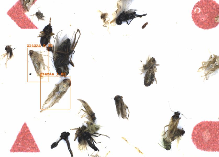 Fullscreen Image