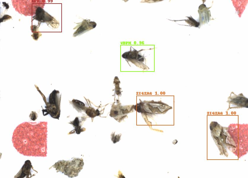 Fullscreen Image