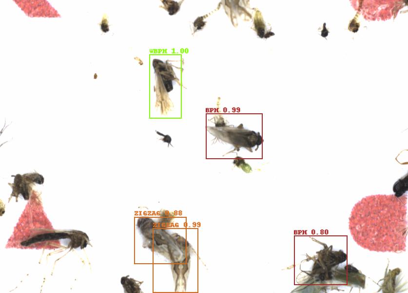Fullscreen Image