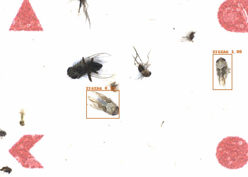 Fullscreen Image