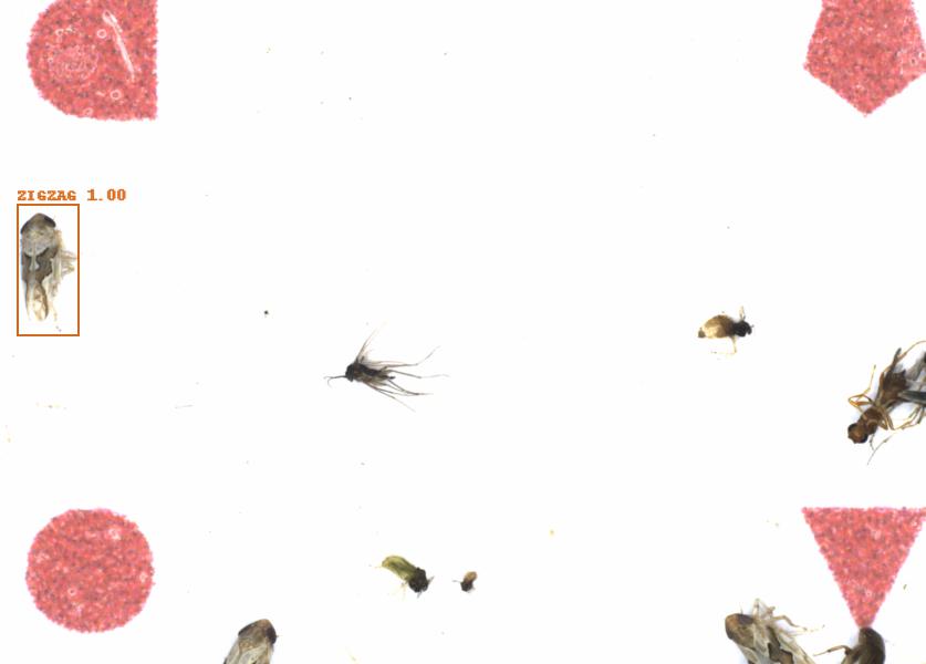 Fullscreen Image