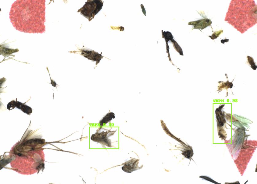Fullscreen Image