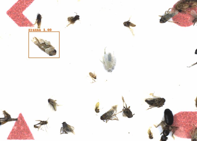 Fullscreen Image