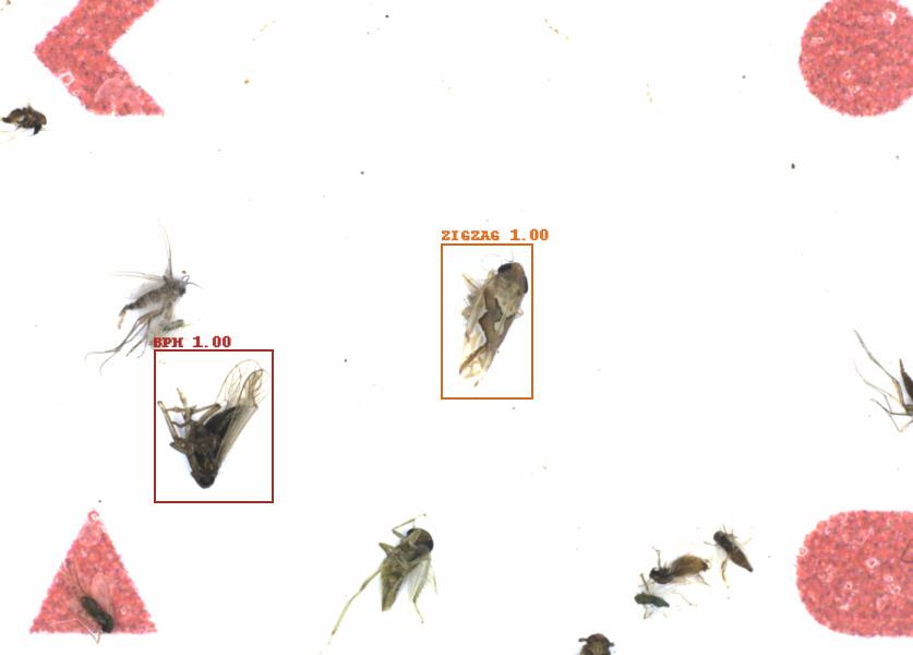 Fullscreen Image