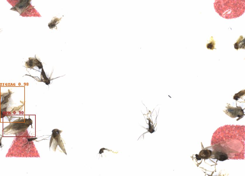 Fullscreen Image