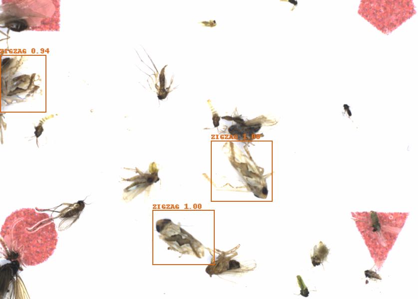 Fullscreen Image
