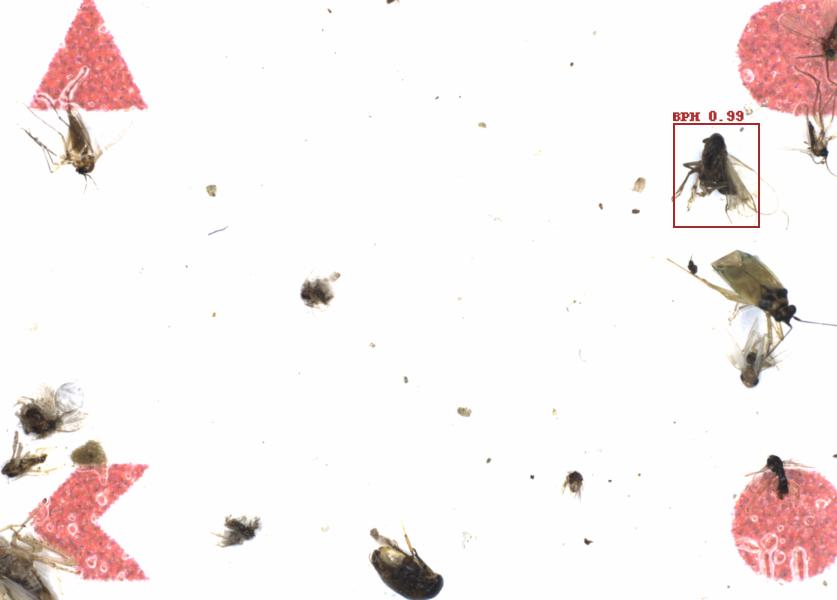 Fullscreen Image
