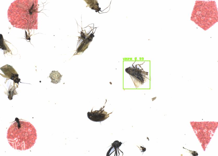 Fullscreen Image