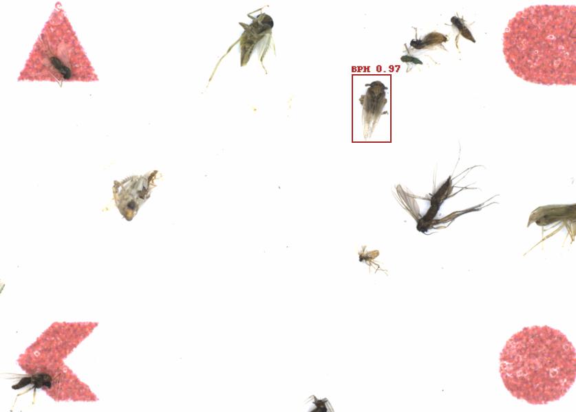 Fullscreen Image
