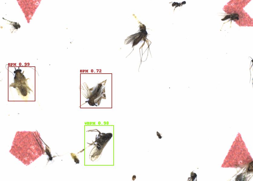 Fullscreen Image