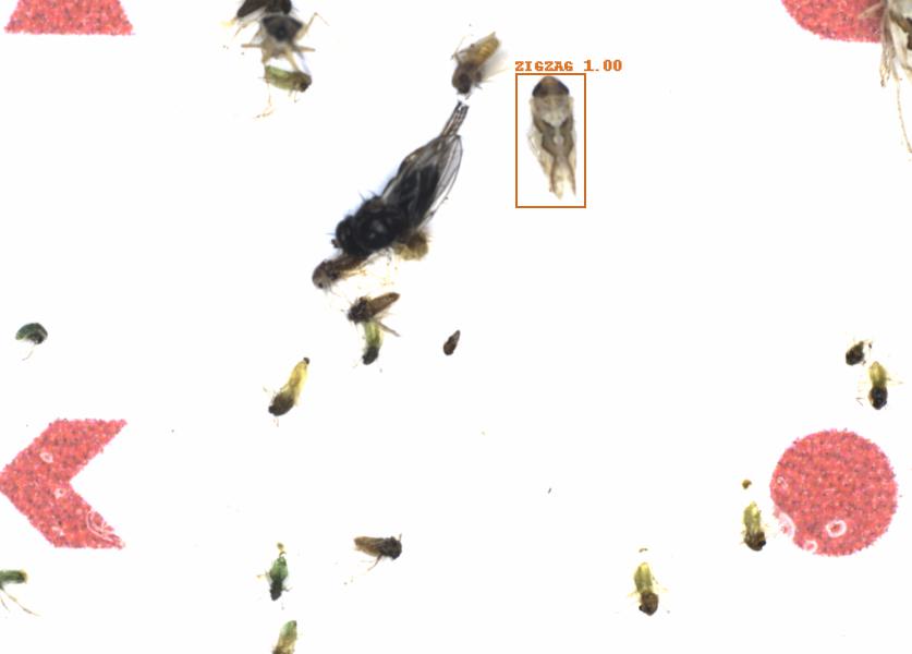 Fullscreen Image