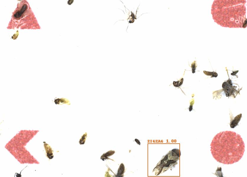 Fullscreen Image