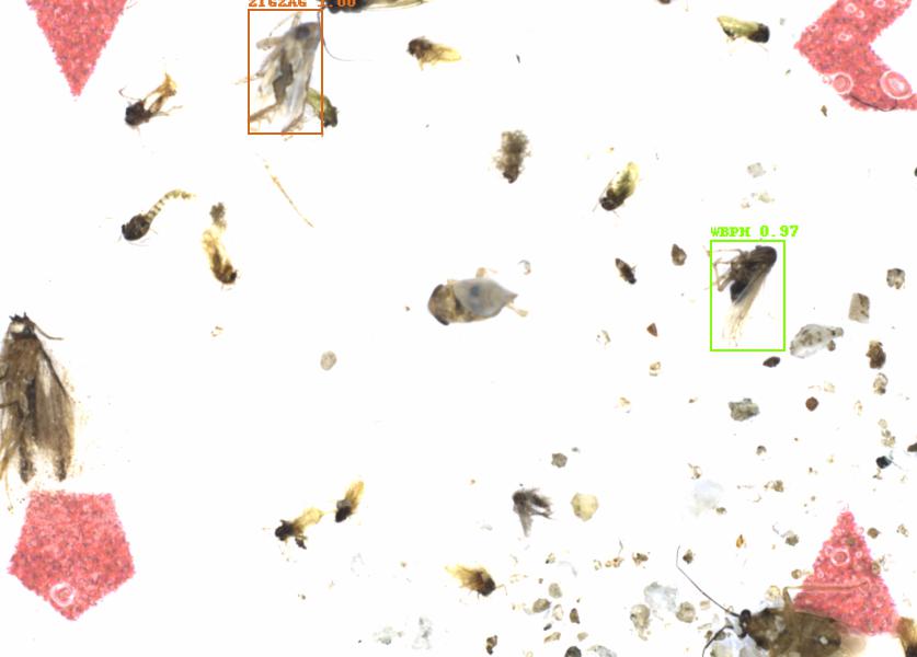 Fullscreen Image