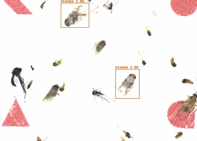 Fullscreen Image