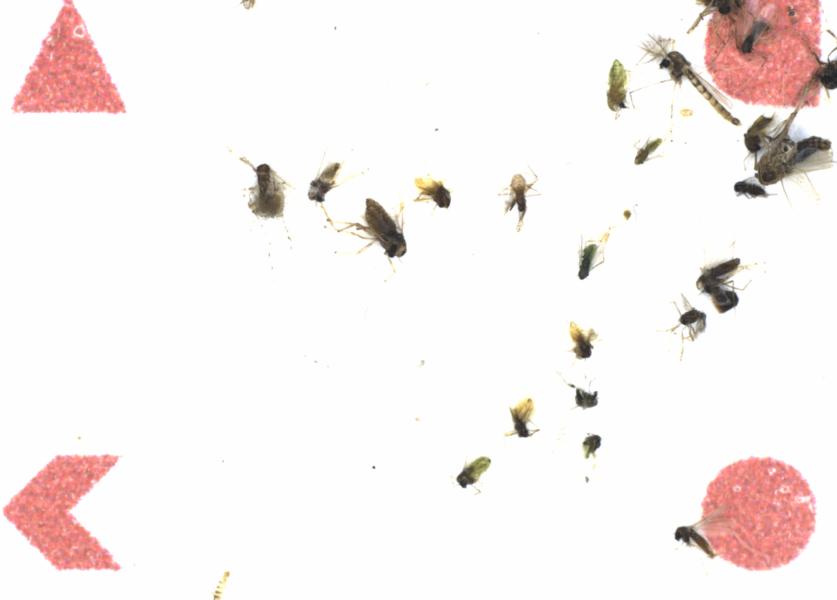 Fullscreen Image
