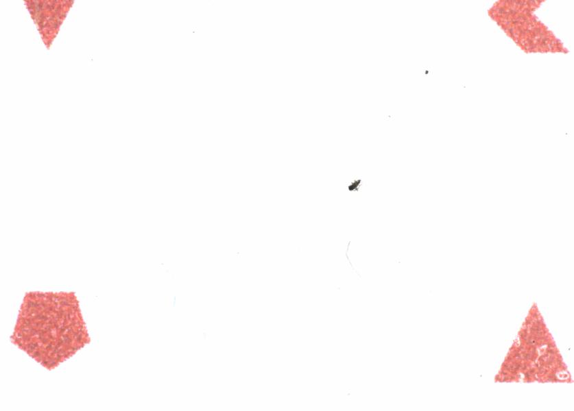 Fullscreen Image