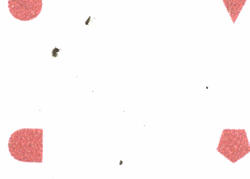 Fullscreen Image