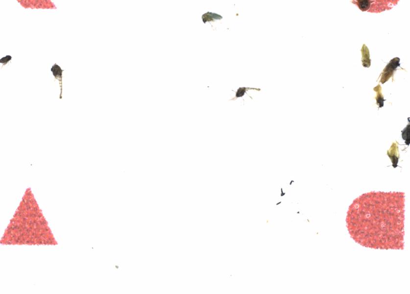 Fullscreen Image