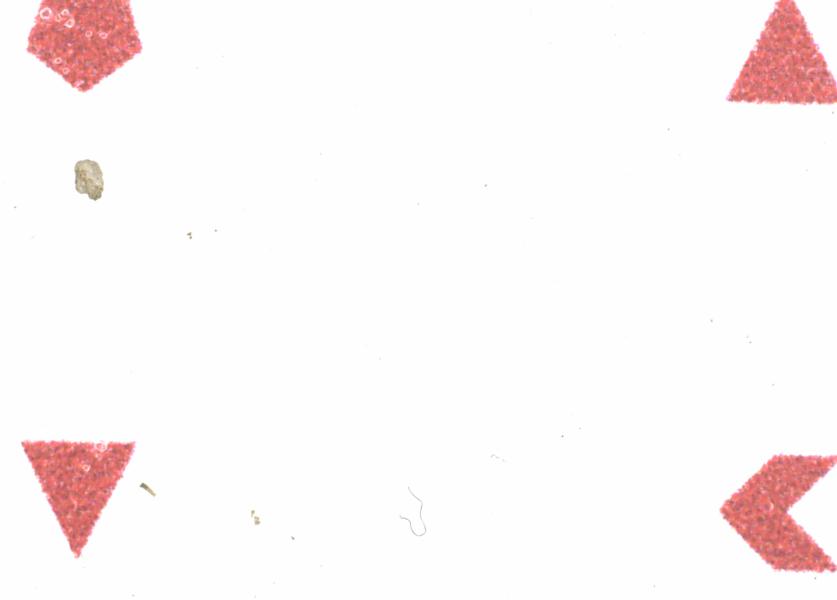 Fullscreen Image
