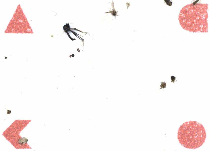 Fullscreen Image