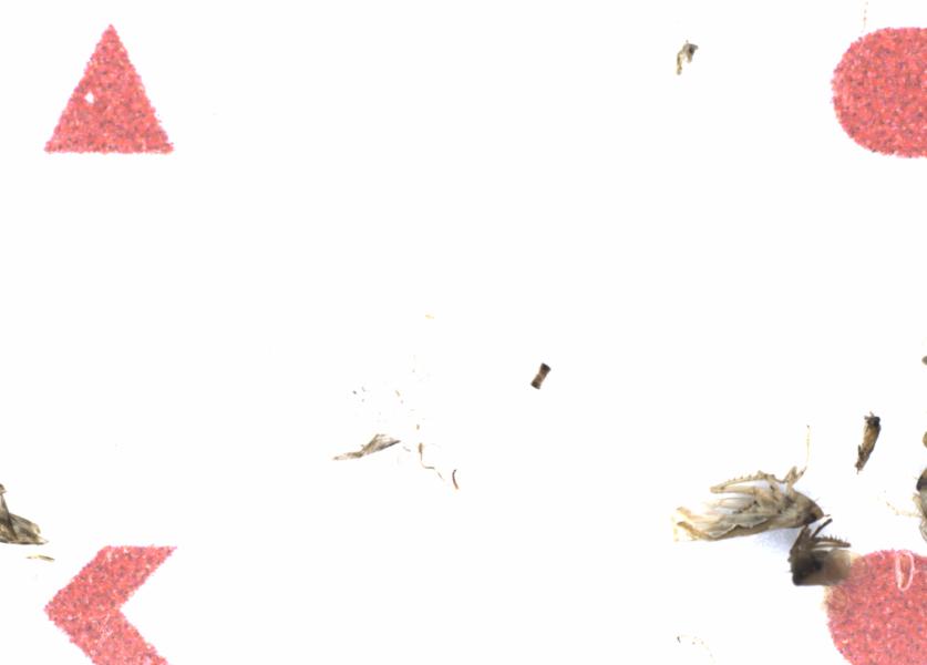 Fullscreen Image