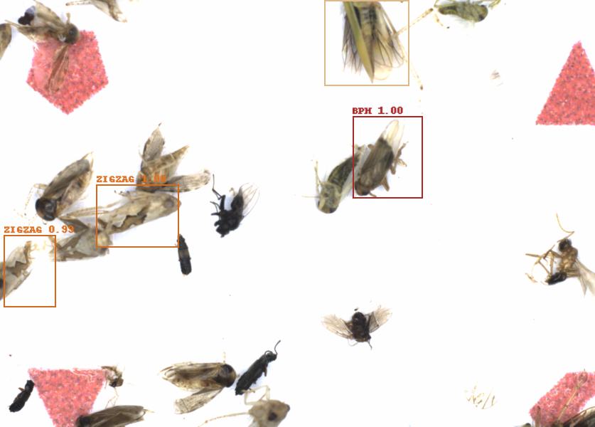Fullscreen Image