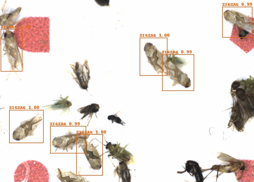 Fullscreen Image