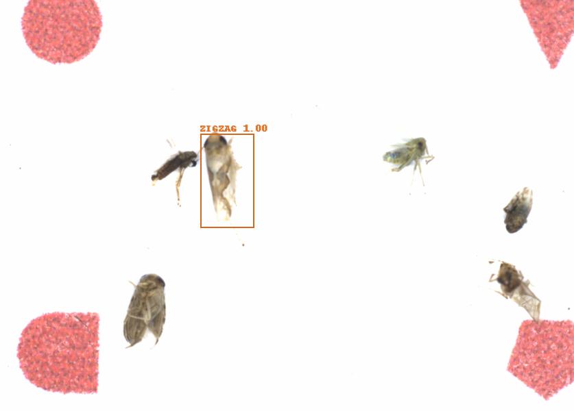 Fullscreen Image