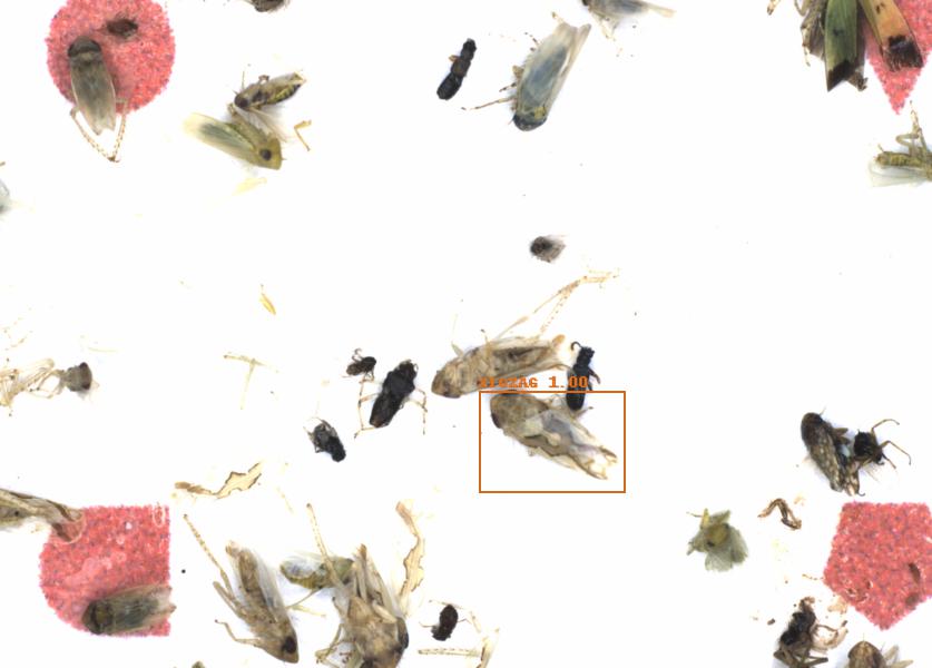 Fullscreen Image