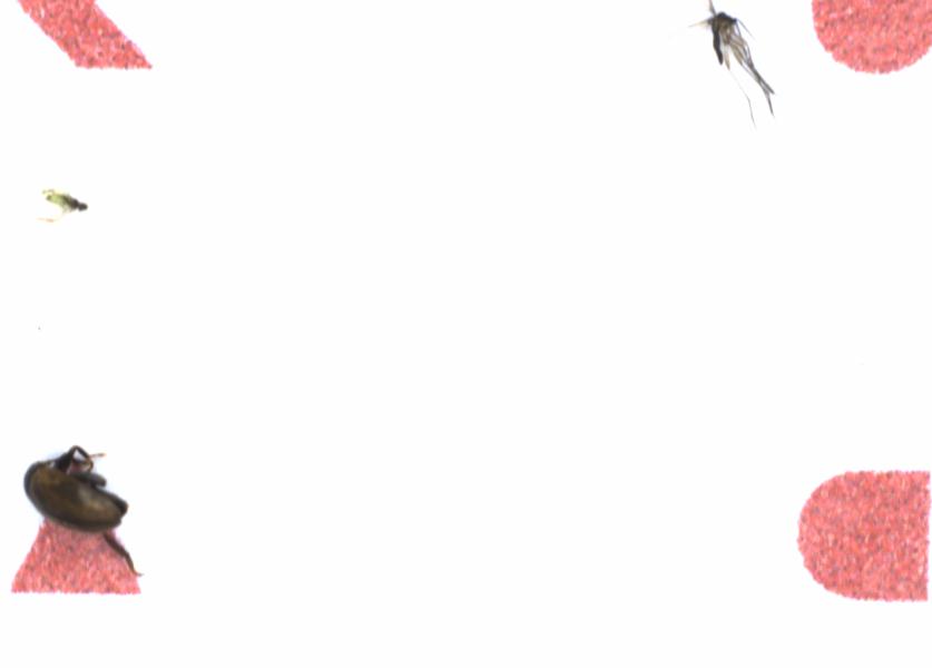Fullscreen Image
