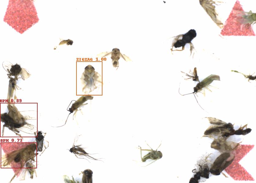 Fullscreen Image