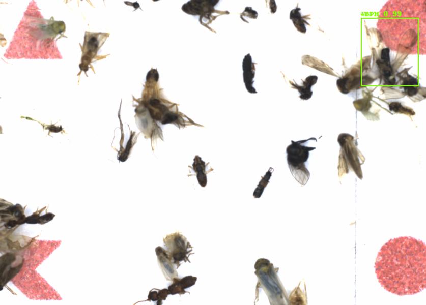 Fullscreen Image
