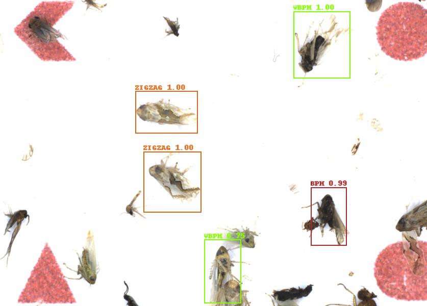 Fullscreen Image