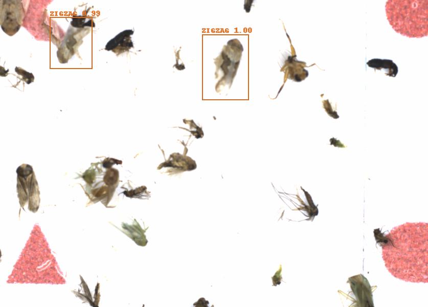 Fullscreen Image