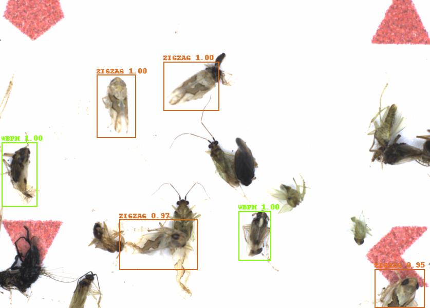 Fullscreen Image