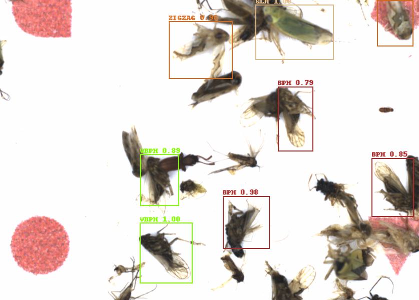 Fullscreen Image