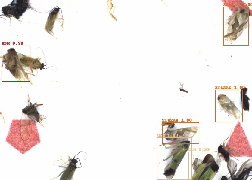 Fullscreen Image