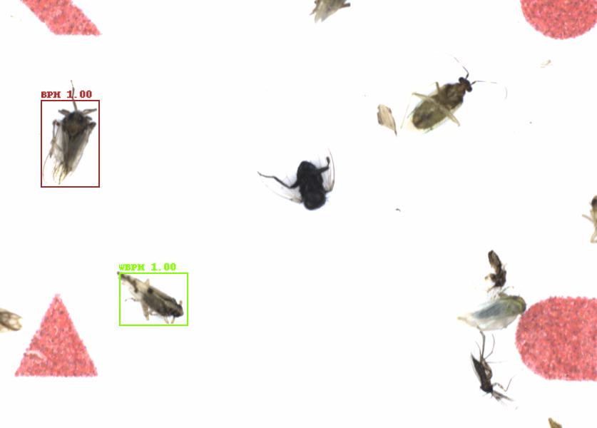 Fullscreen Image