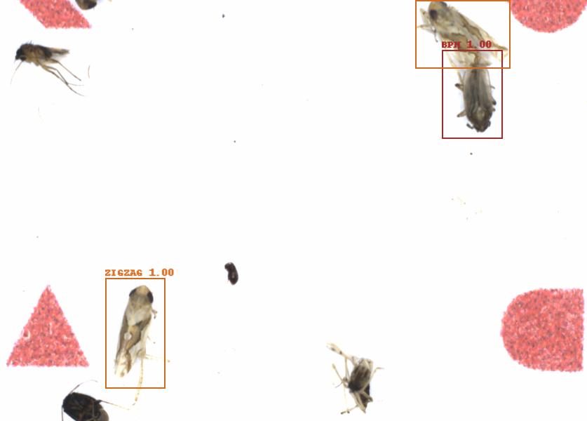 Fullscreen Image
