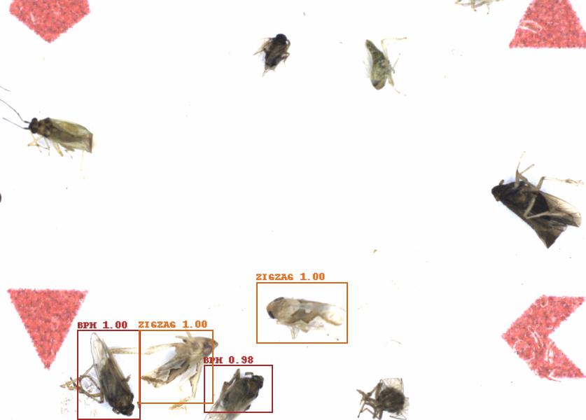 Fullscreen Image