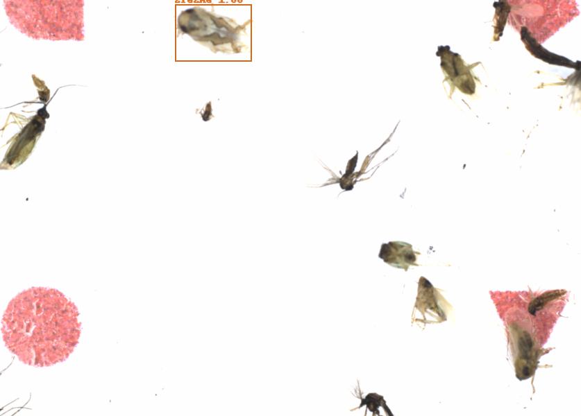 Fullscreen Image