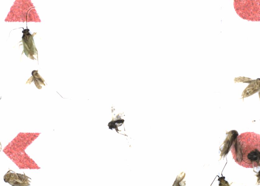 Fullscreen Image