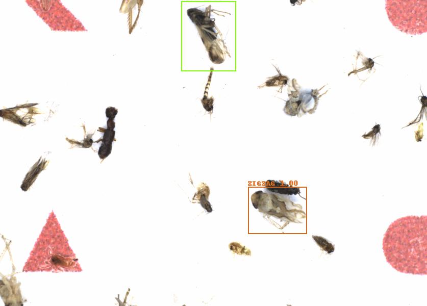 Fullscreen Image
