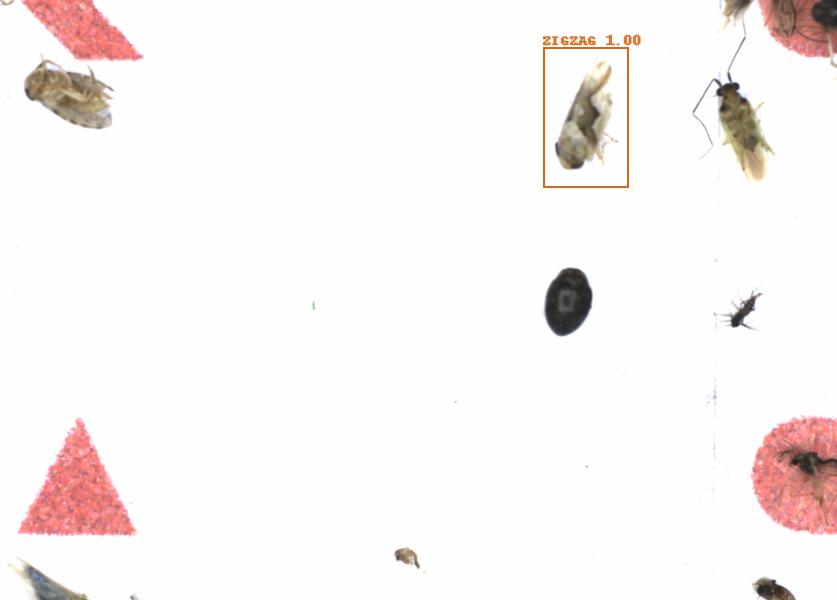 Fullscreen Image