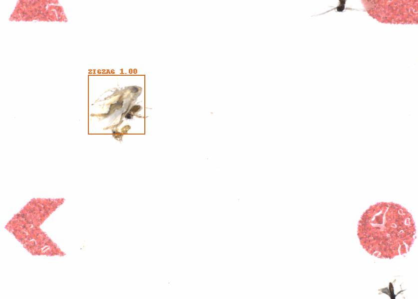 Fullscreen Image