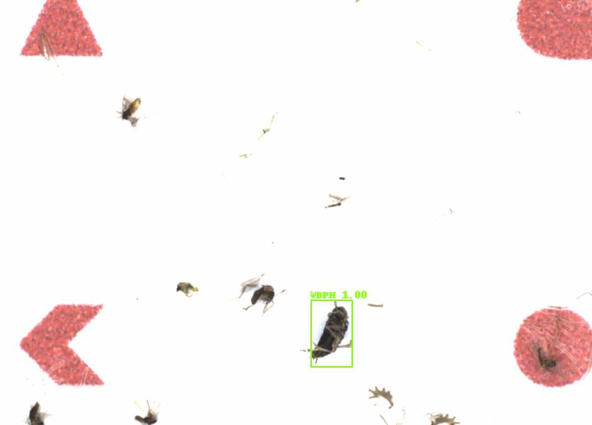 Fullscreen Image
