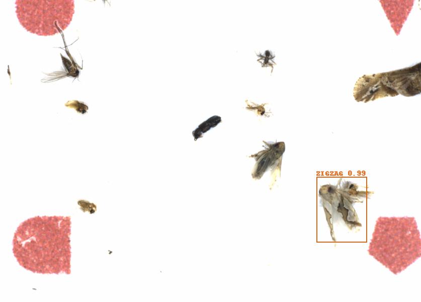 Fullscreen Image