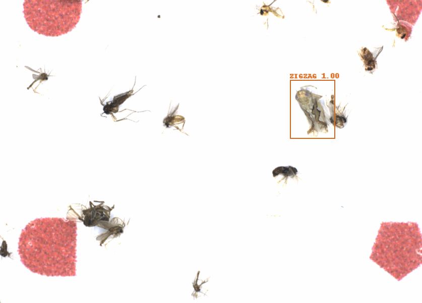 Fullscreen Image