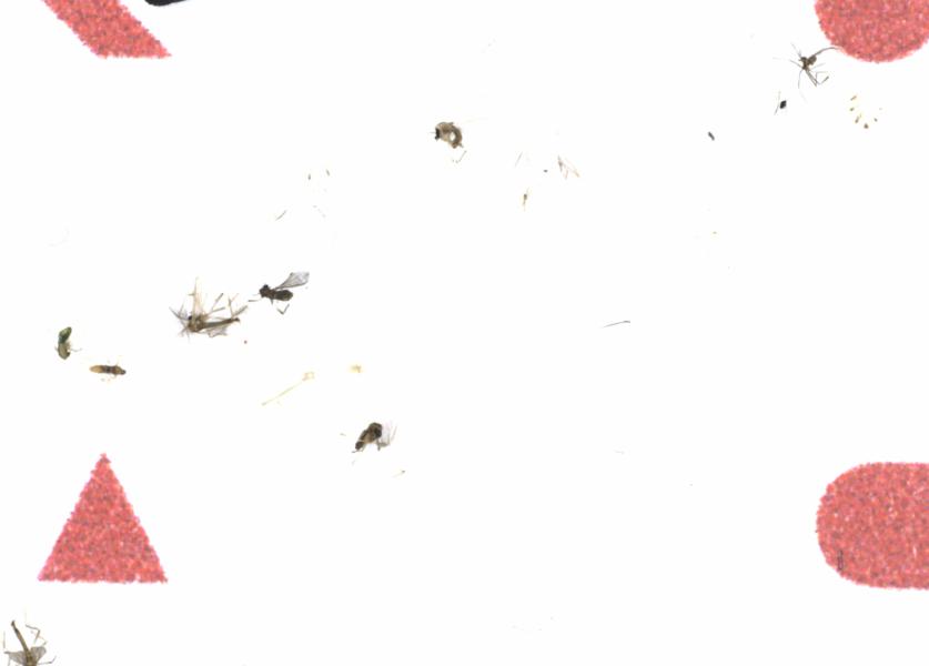 Fullscreen Image